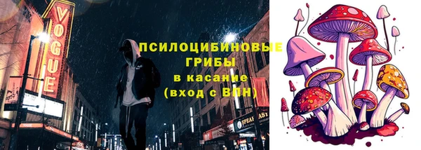 прущая мука Арсеньев
